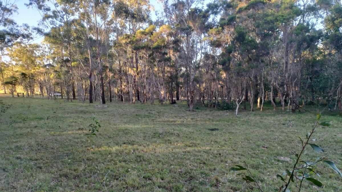 The Blueberry Farm
