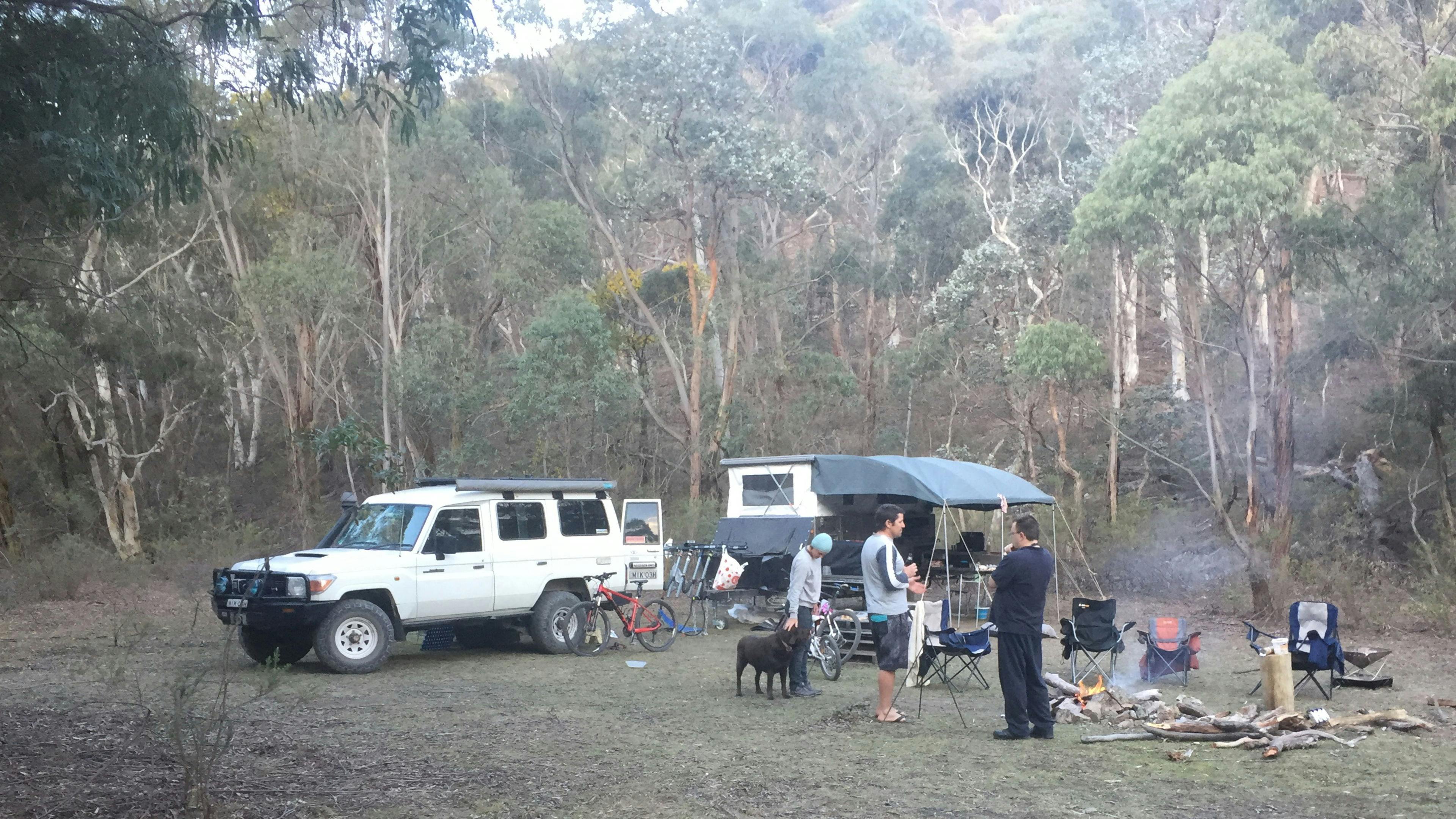 Family, friends and dogs catchup at Woodlands 1 in a drier year 