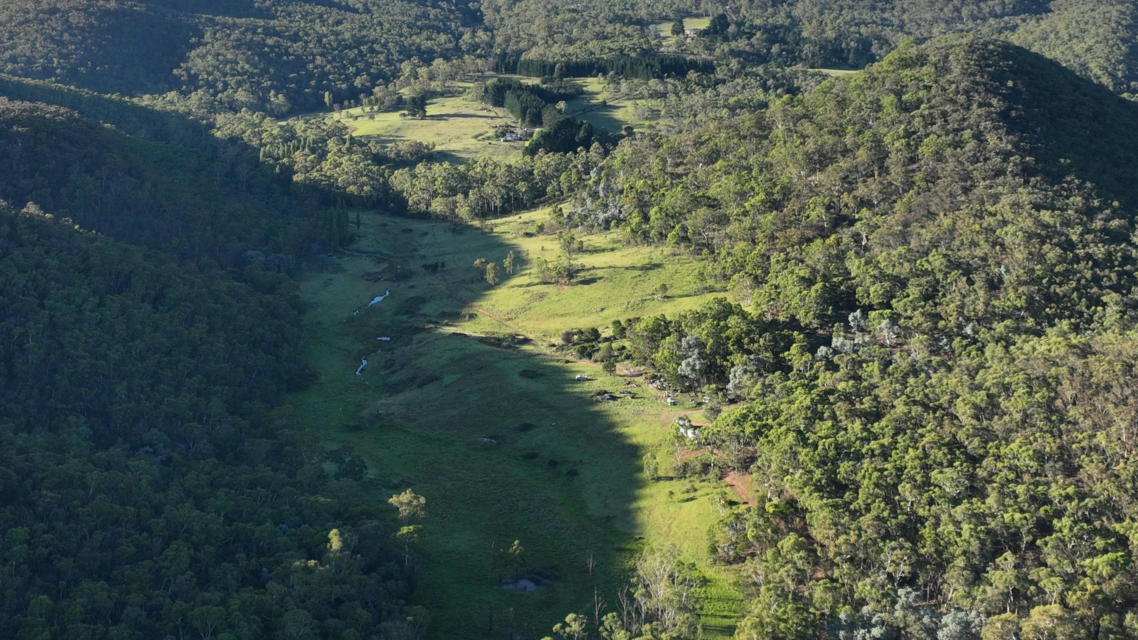 The waterholes along Lyrebird Creek glint in the early morning shadows of our 1 km long valley
Our northern boundary is 2.1 kms, southern 5.6kms
