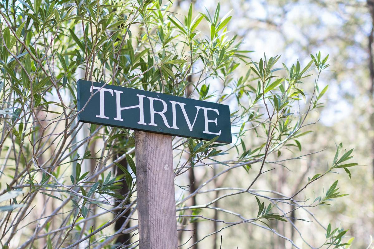 Thrive Retreats