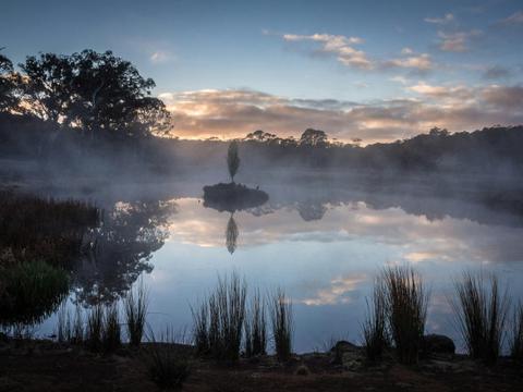 Two Styx Cottage and Cabins
