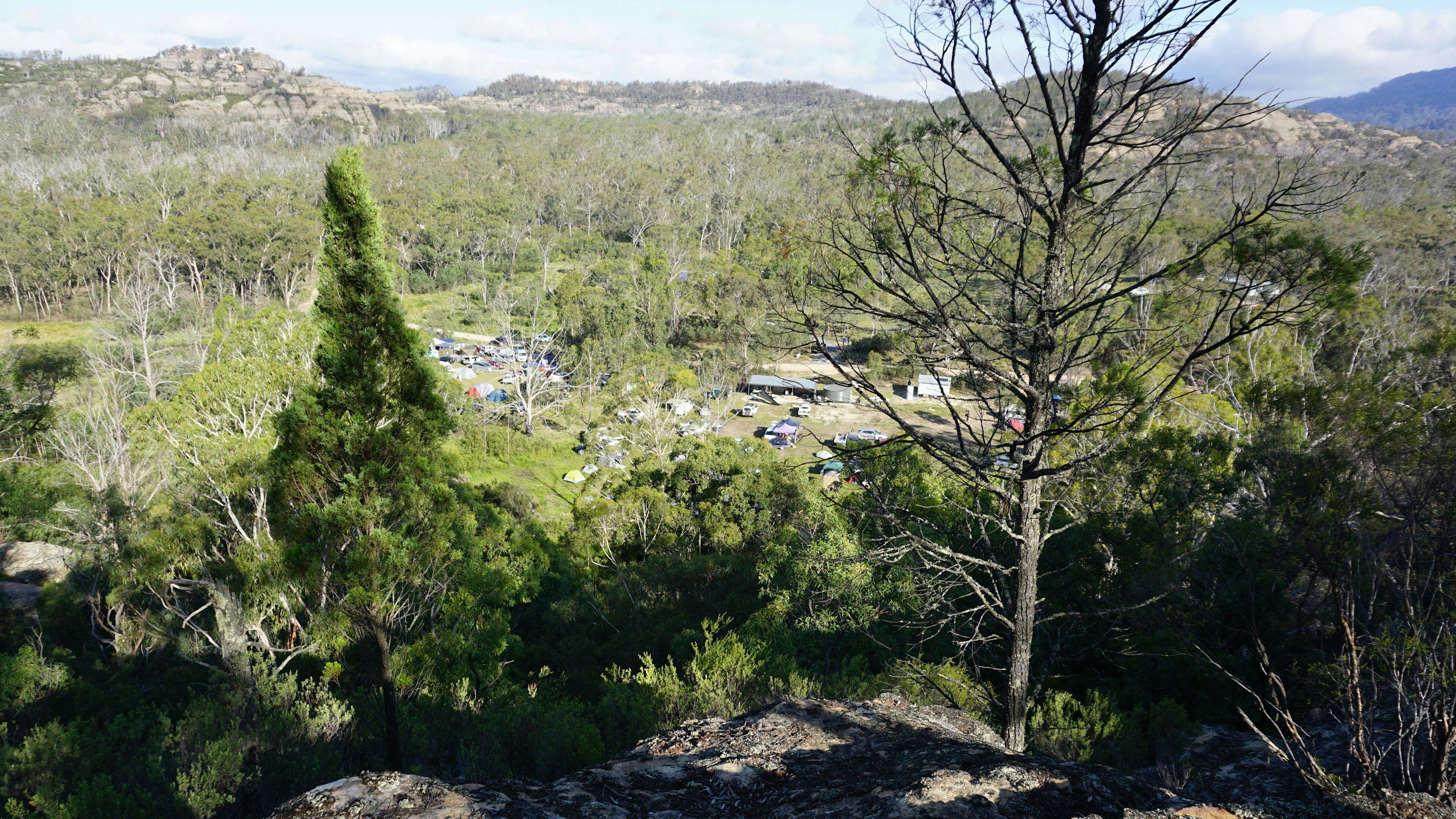 The Wollemi Art Farm