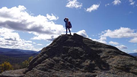 The Wollemi Art Farm