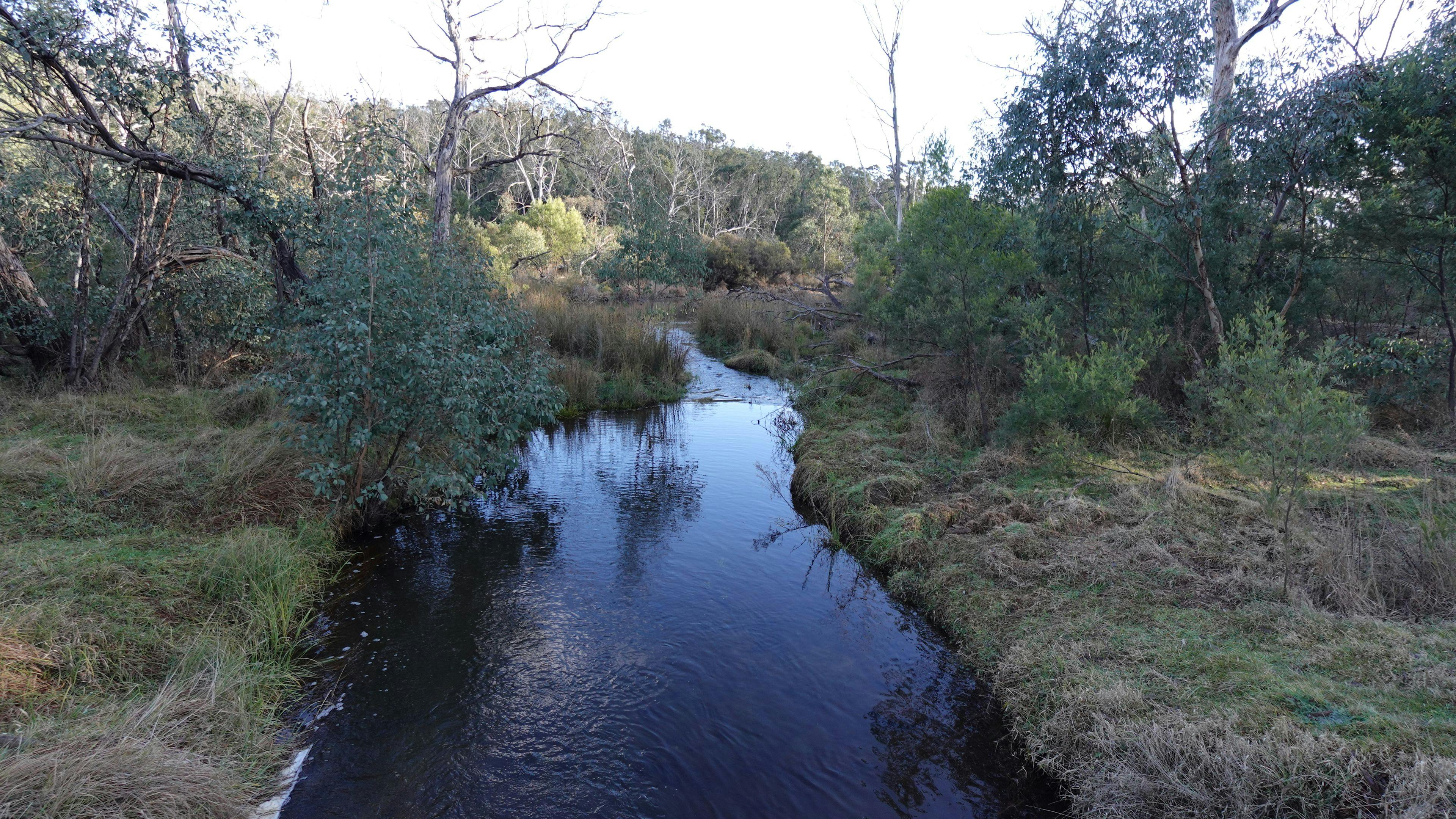Ganguddy Creek, seen from the dirt road.
