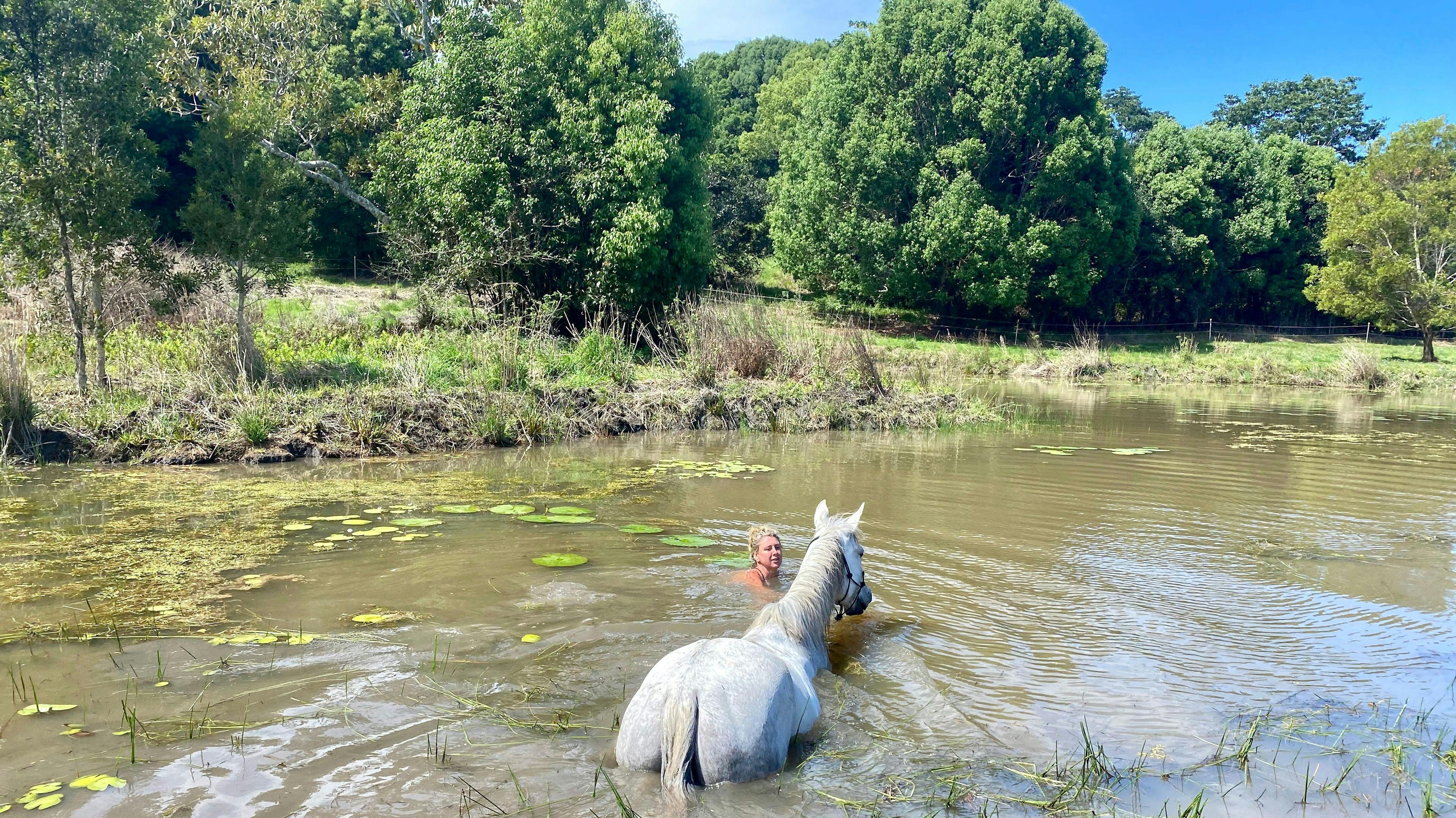 Swimming in Dam with some of the resident horses. Horses come and go from property and are not kept in this paddock when bookings. 