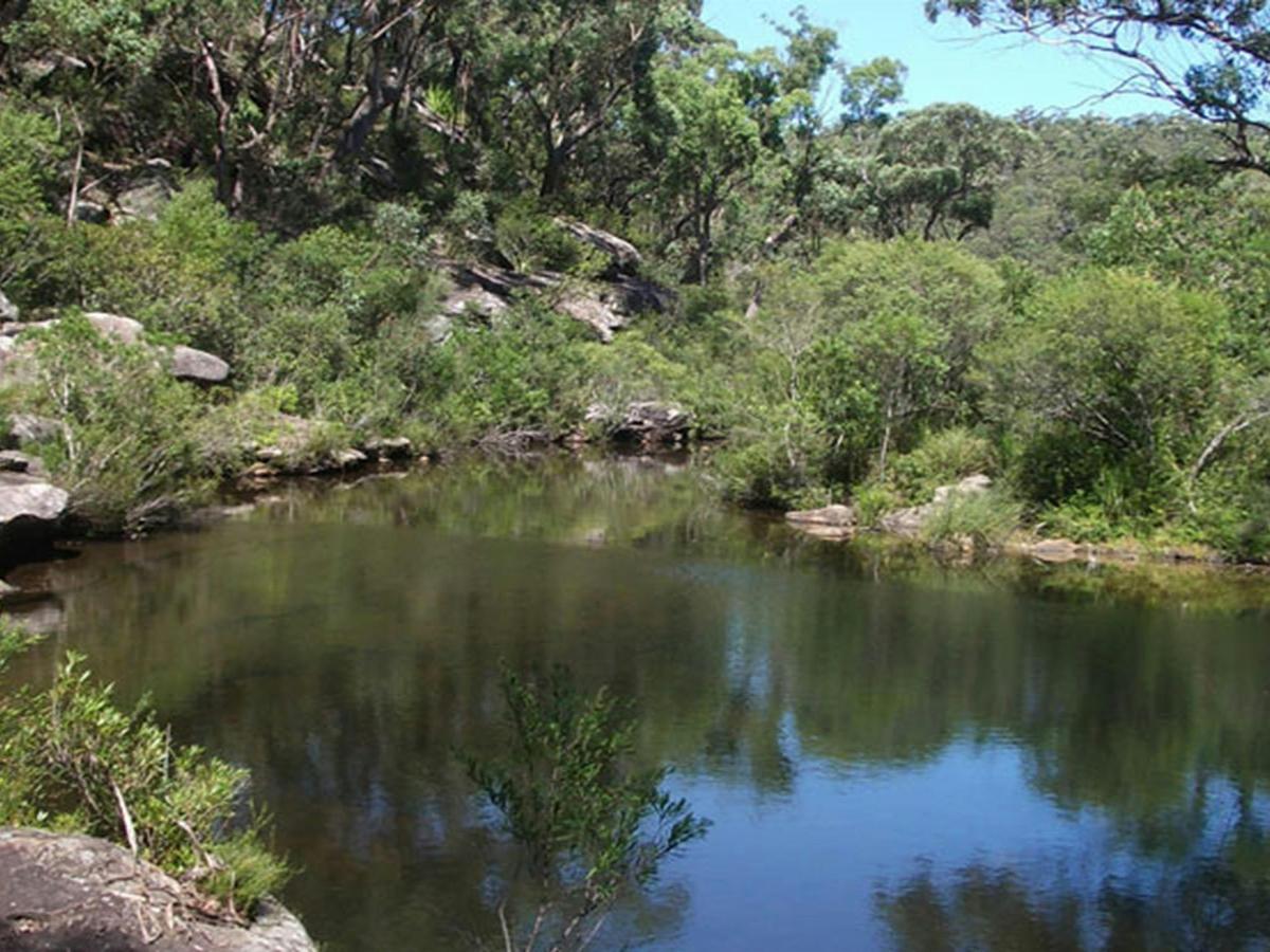 Uloola Falls campground open water, Royal National Park. Photo: Andy Richards/NSW Government