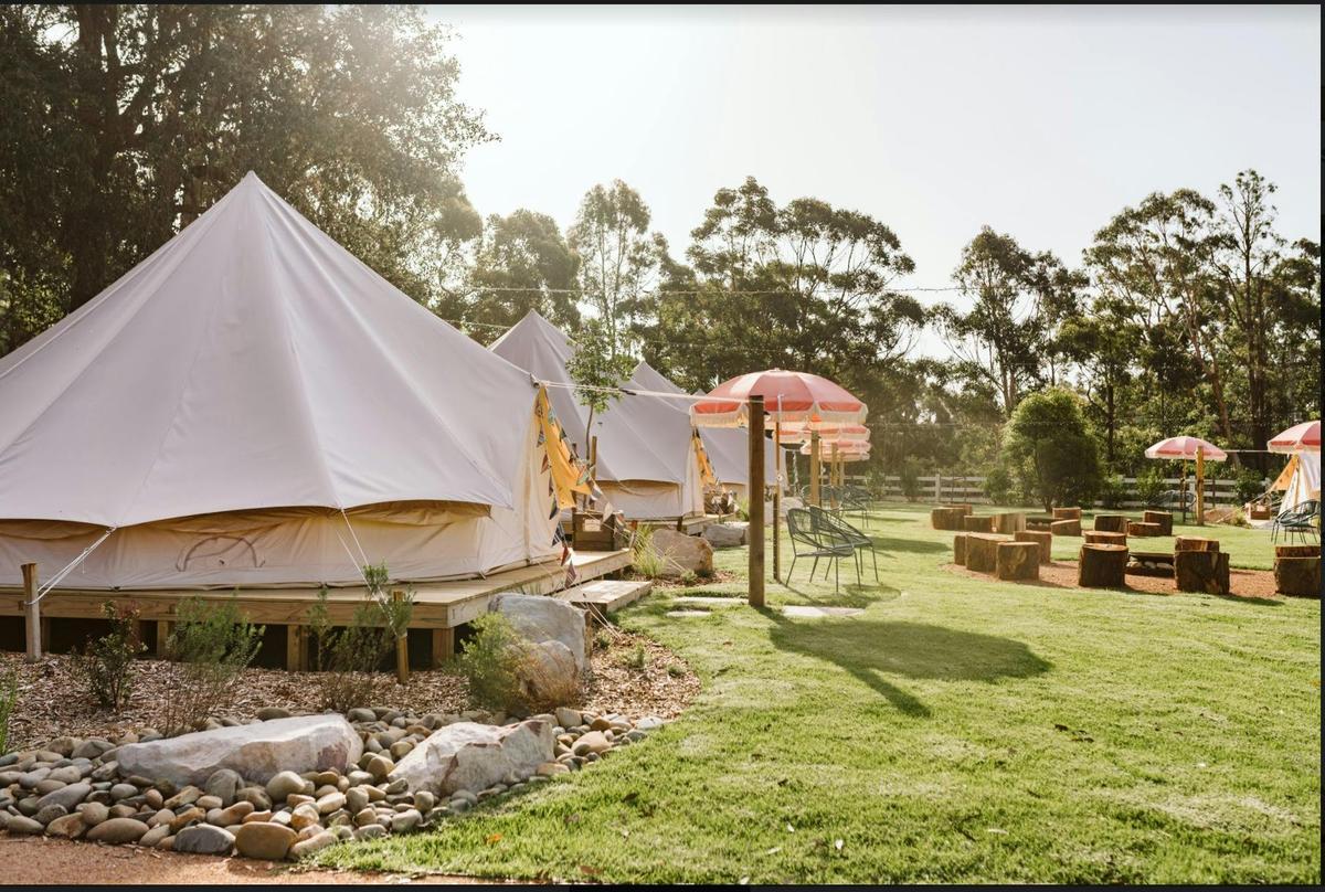 The Woods Farm Glamping Village