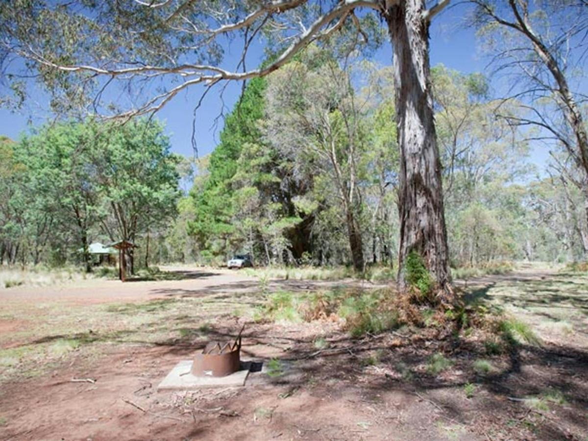 The Barracks campground, Coolah Tops National Park. Photo: Nick Cubbin/NSW Government