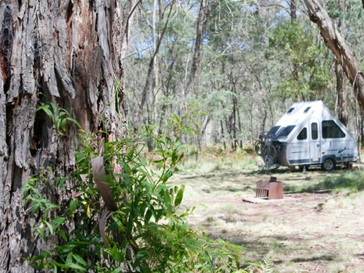 The Barracks campground, Coolah Tops National Park. Photo: Nick Cubbin/NSW Government