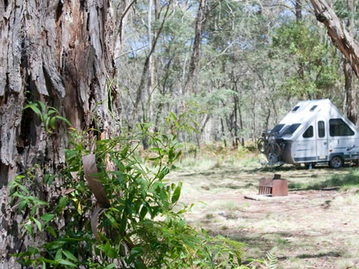 The Barracks campground, Coolah Tops National Park. Photo: Nick Cubbin/NSW Government
