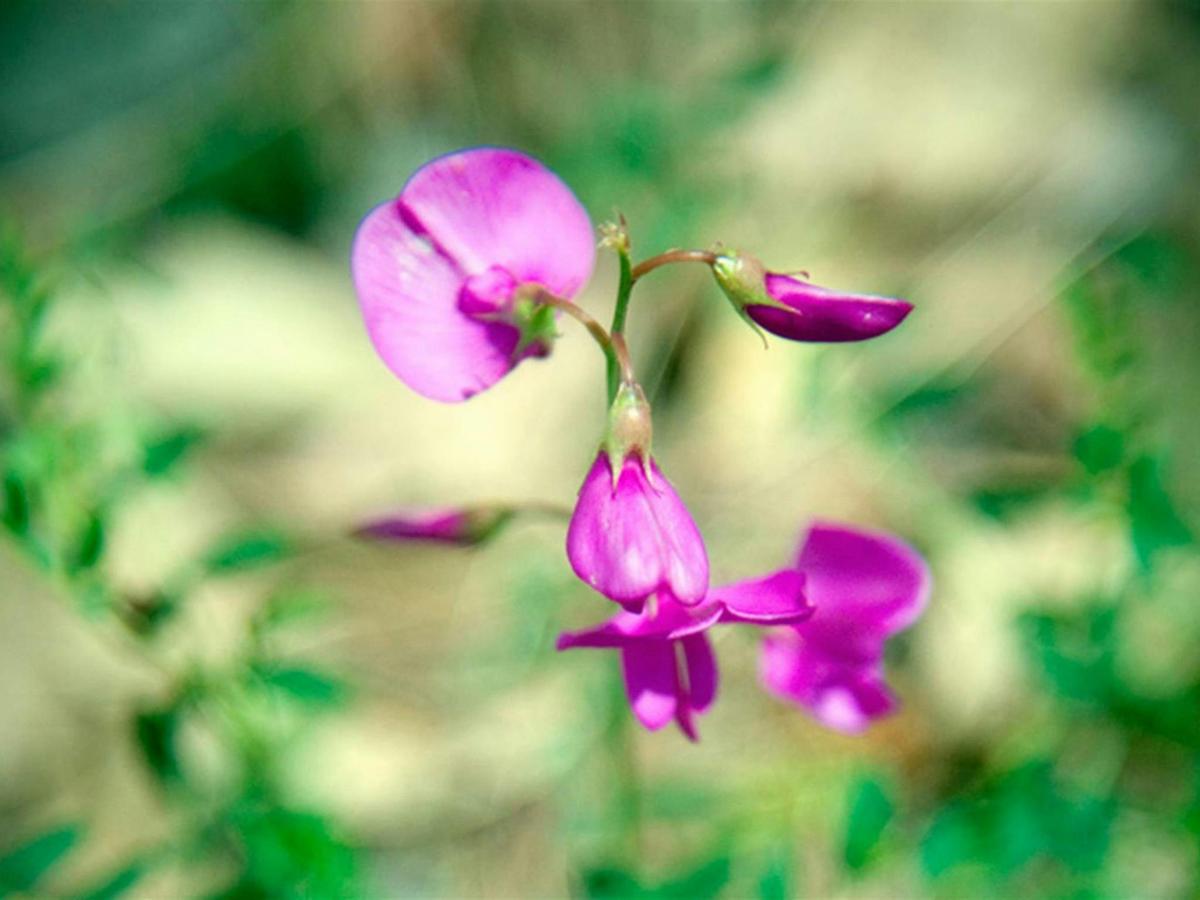 The Barracks campground, Coolah Tops National Park. Photo: Nick Cubbin/NSW Government