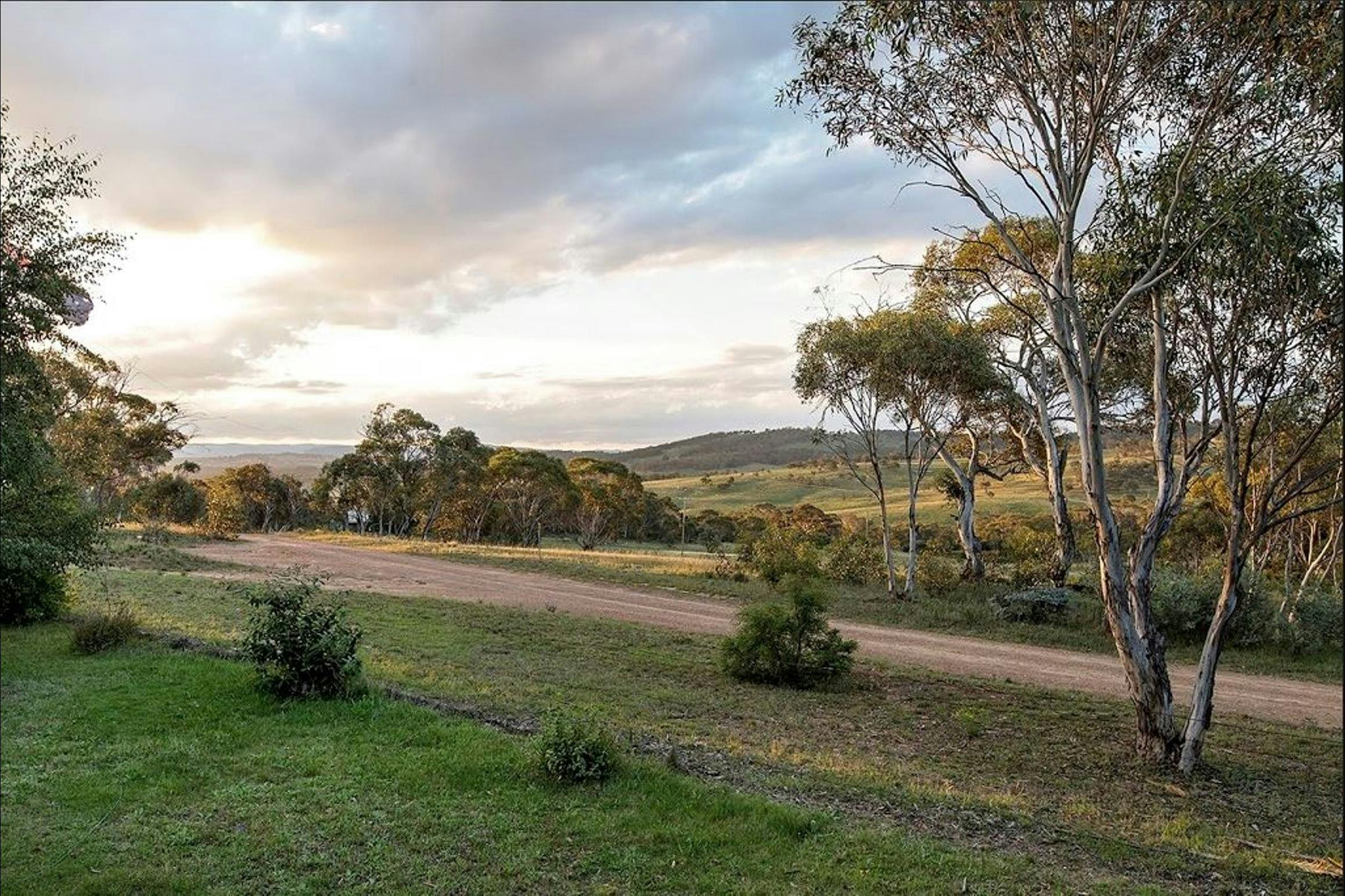The view from The Lodge