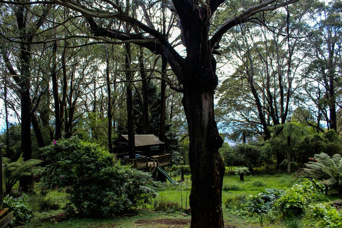 Treehouse