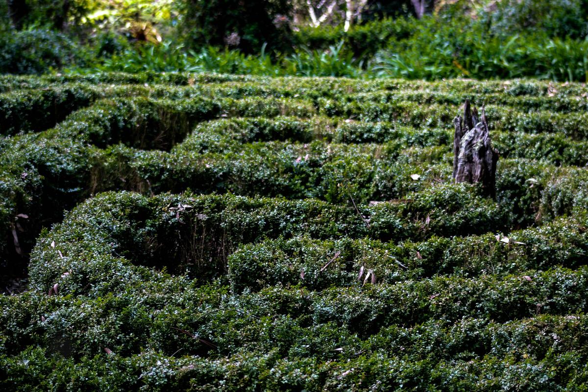 Labyrinth
