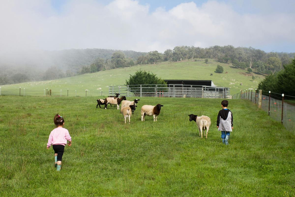 On the farm