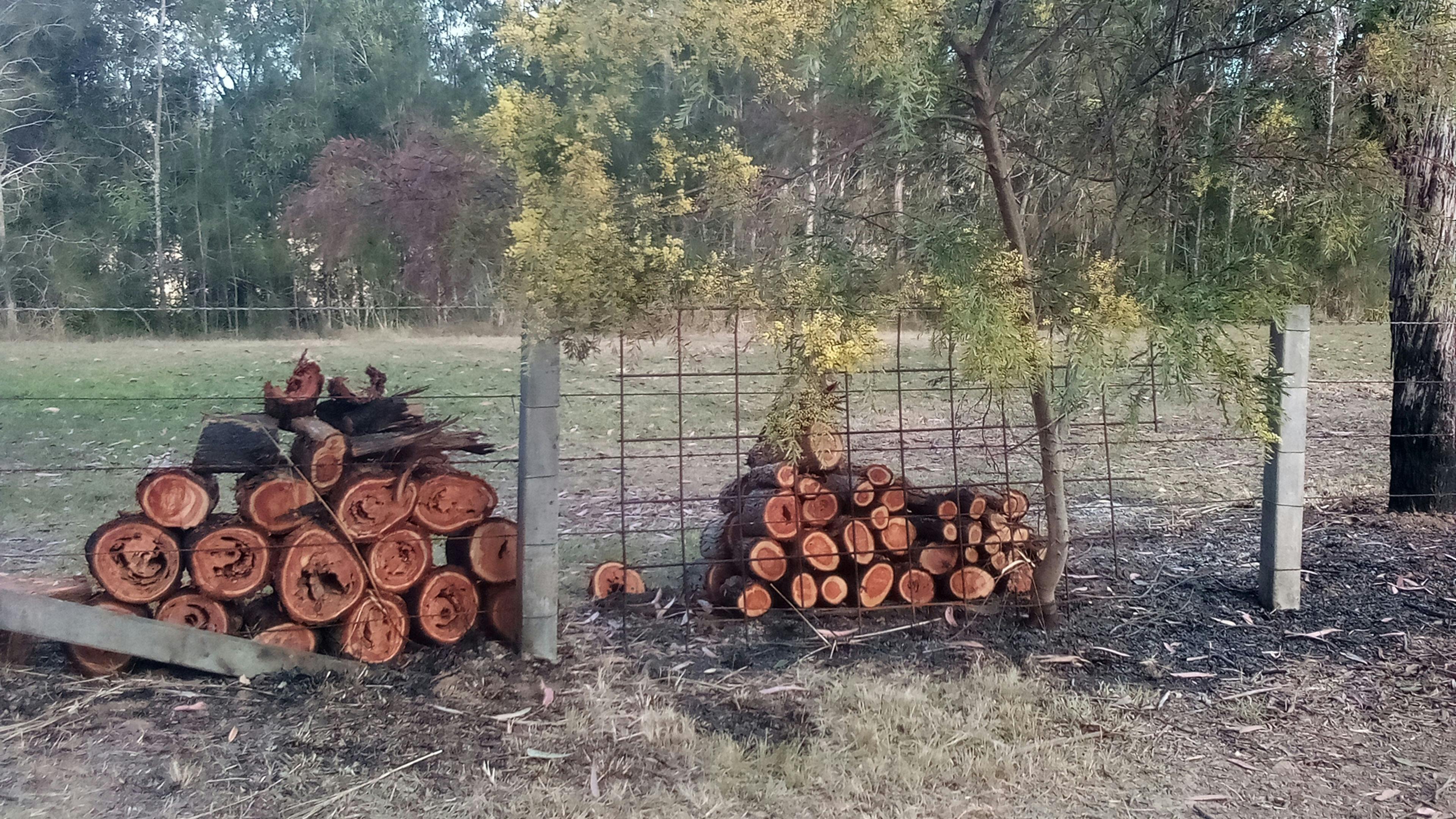 Travelers Highway Rest