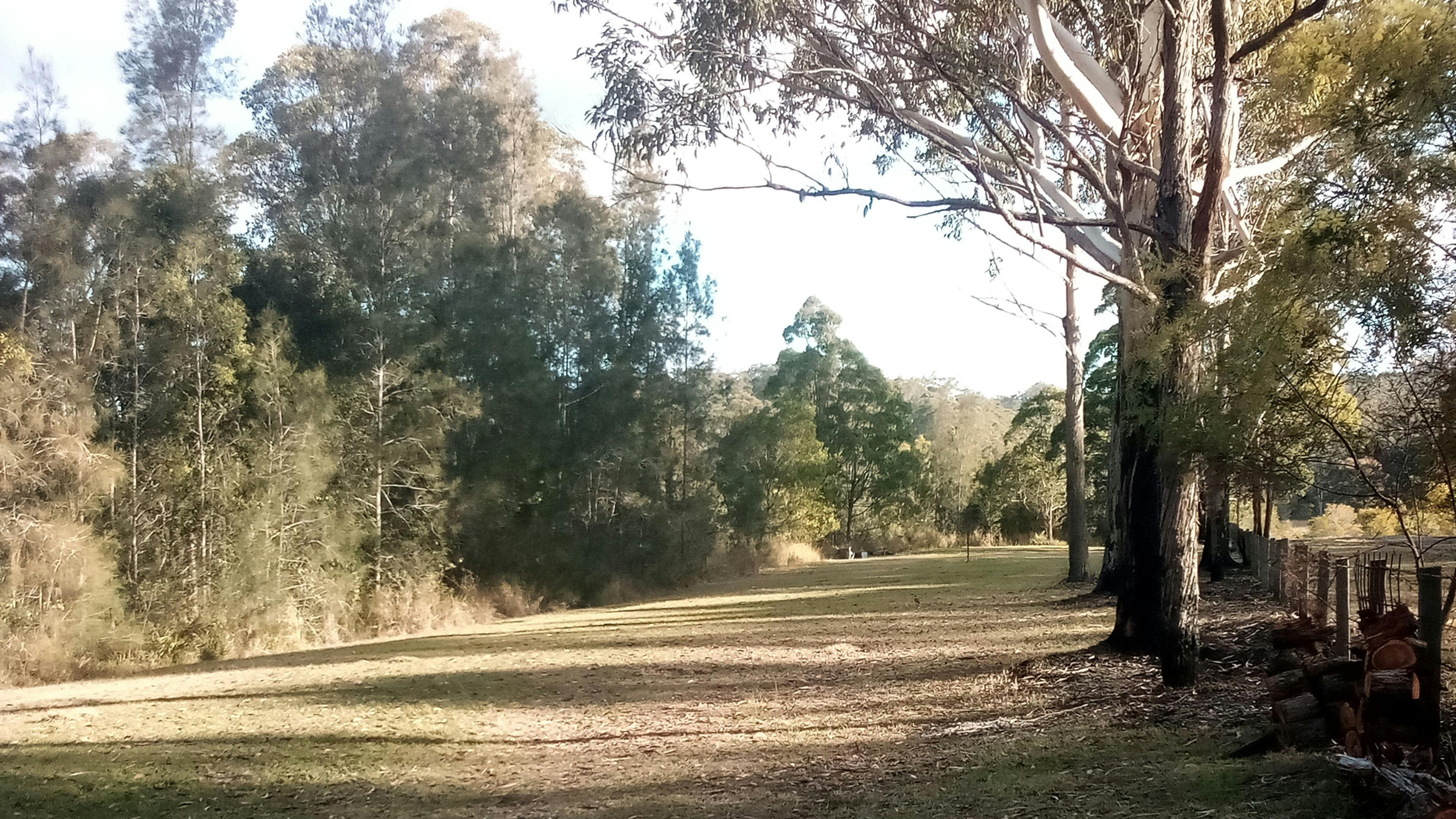 Travelers Highway Rest