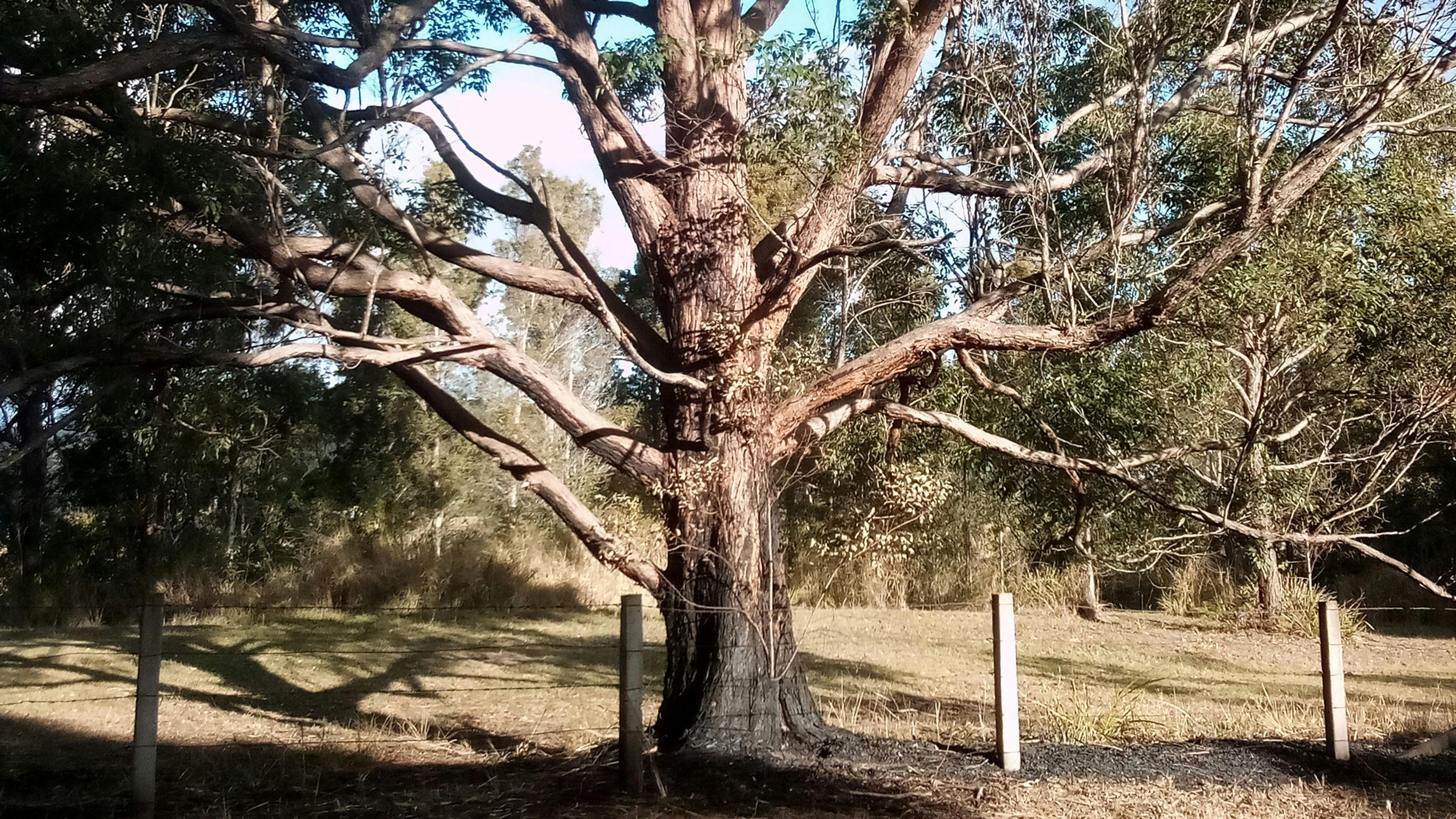 Travelers Highway Rest