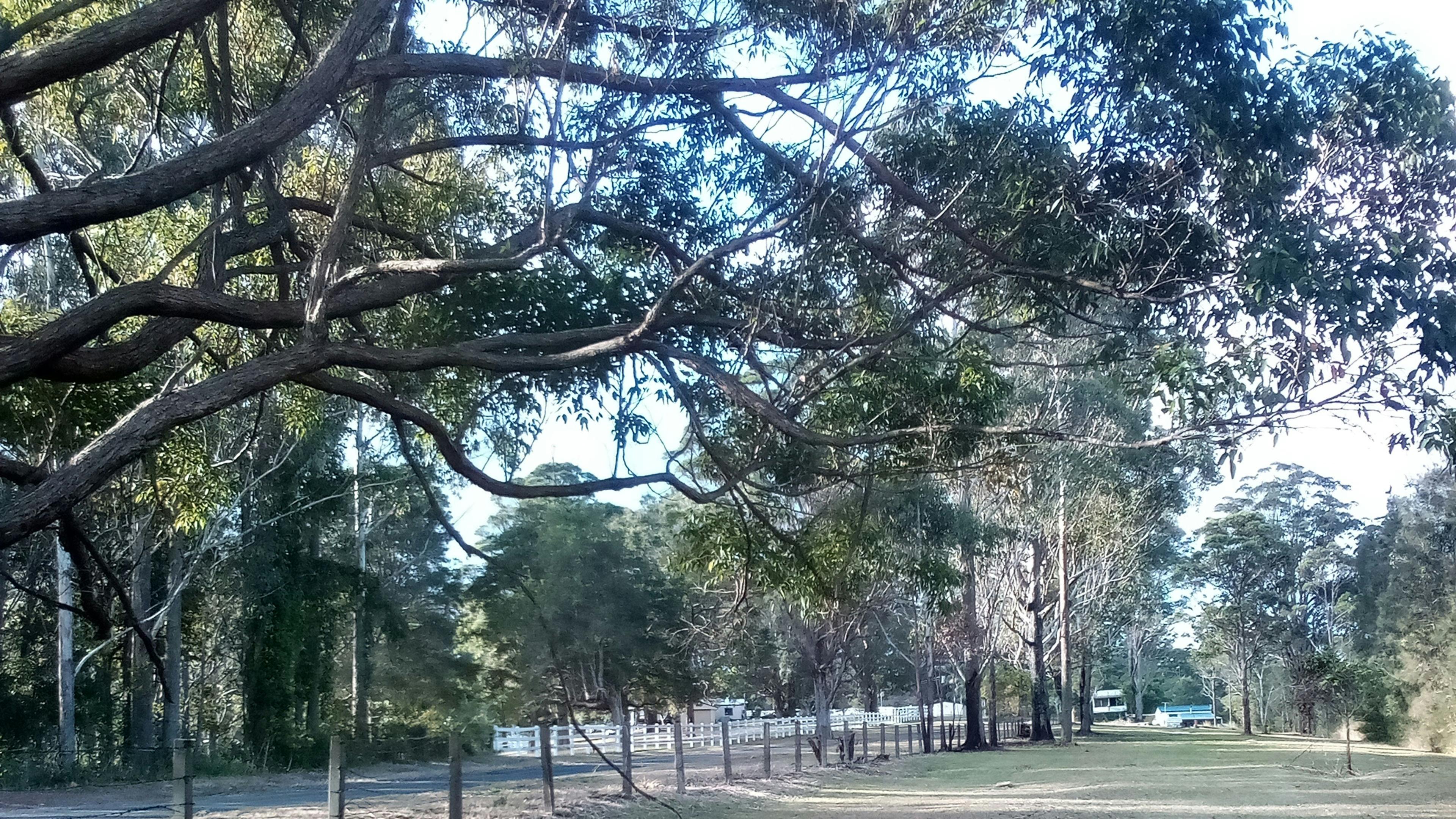 Travelers Highway Rest