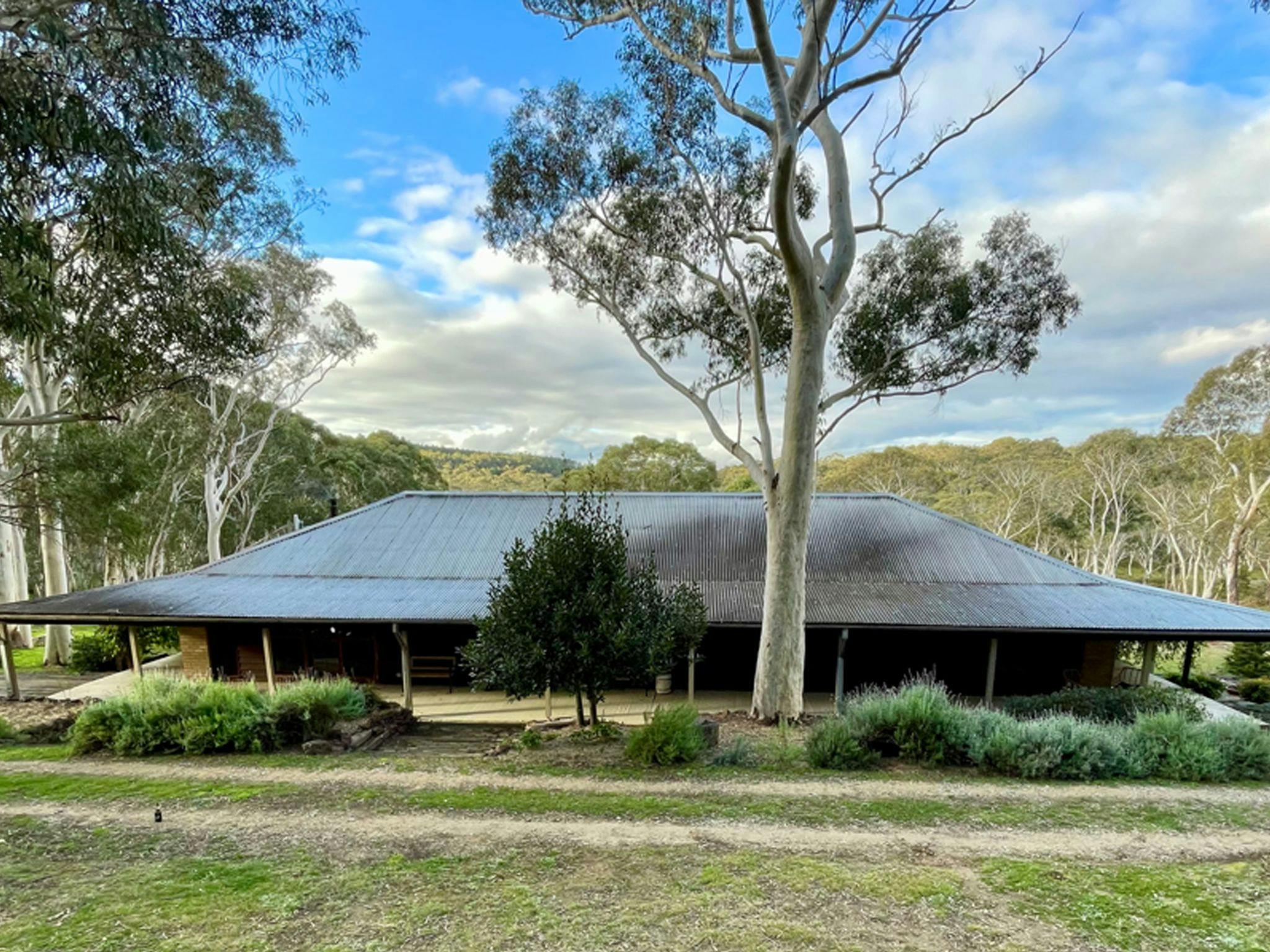 The Burrows of Penrose