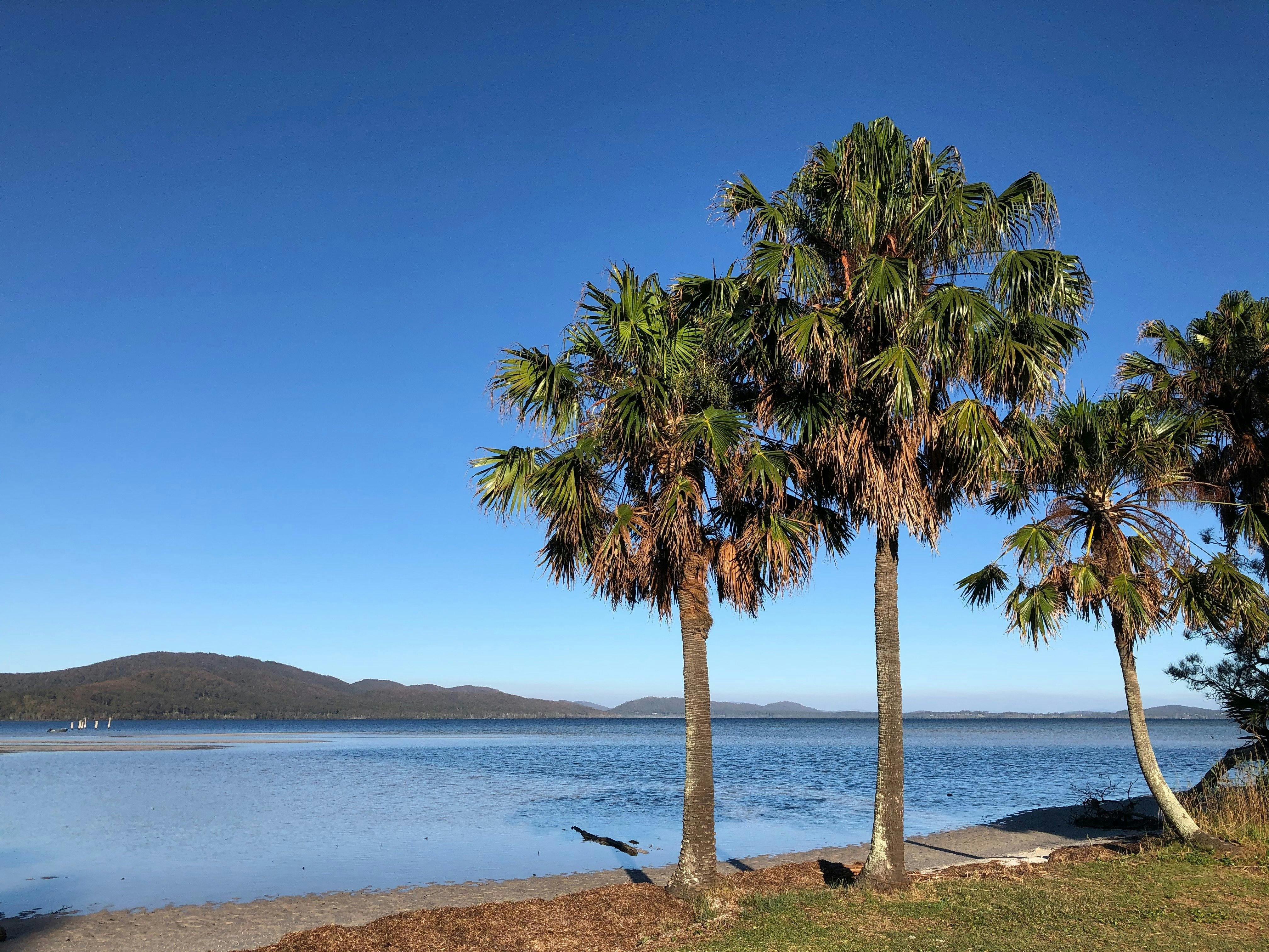 Absolute lakefront at Tiona, suitable for SUP, kayaks and child friendly