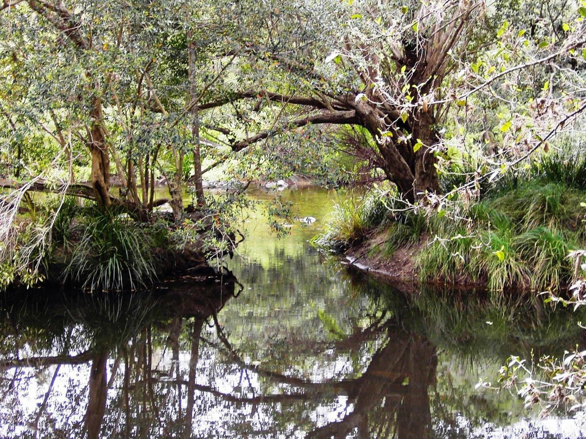 Water Gums Retreat Gloucester