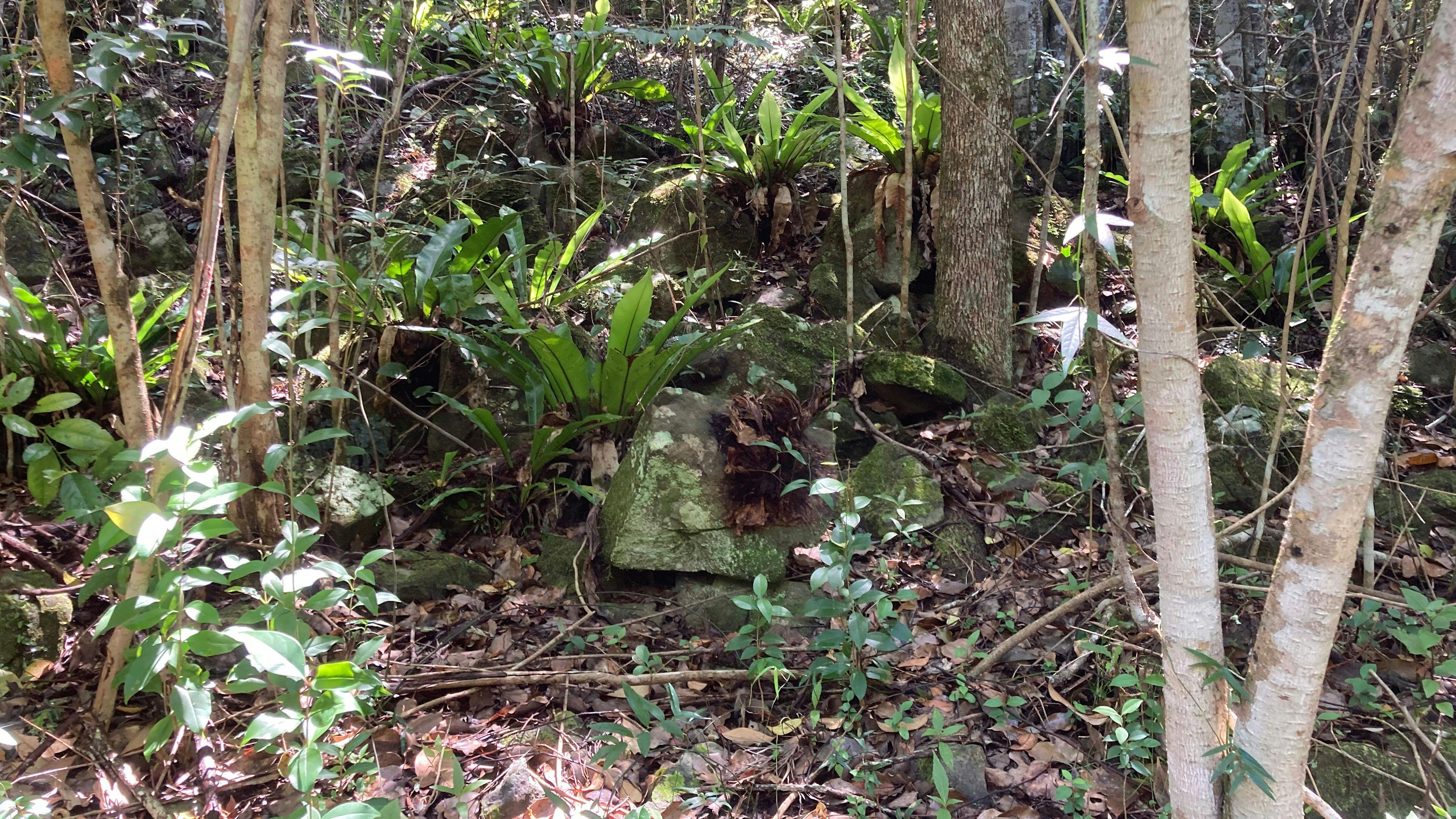 By the second creek.