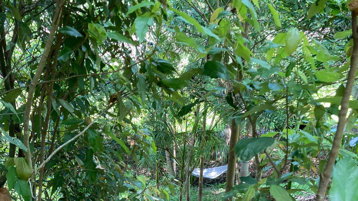 Tuntable Bush Camp