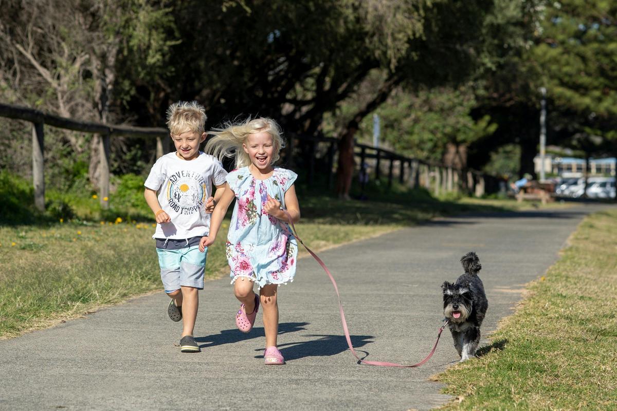 Dog Friendly Holiday Park