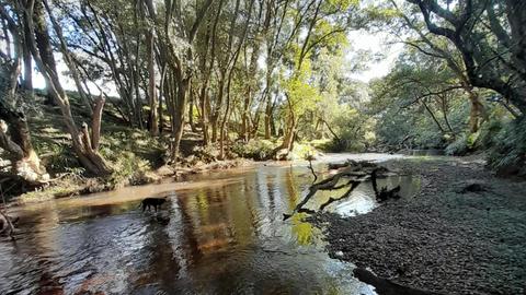 Utungen Freshwater Camp