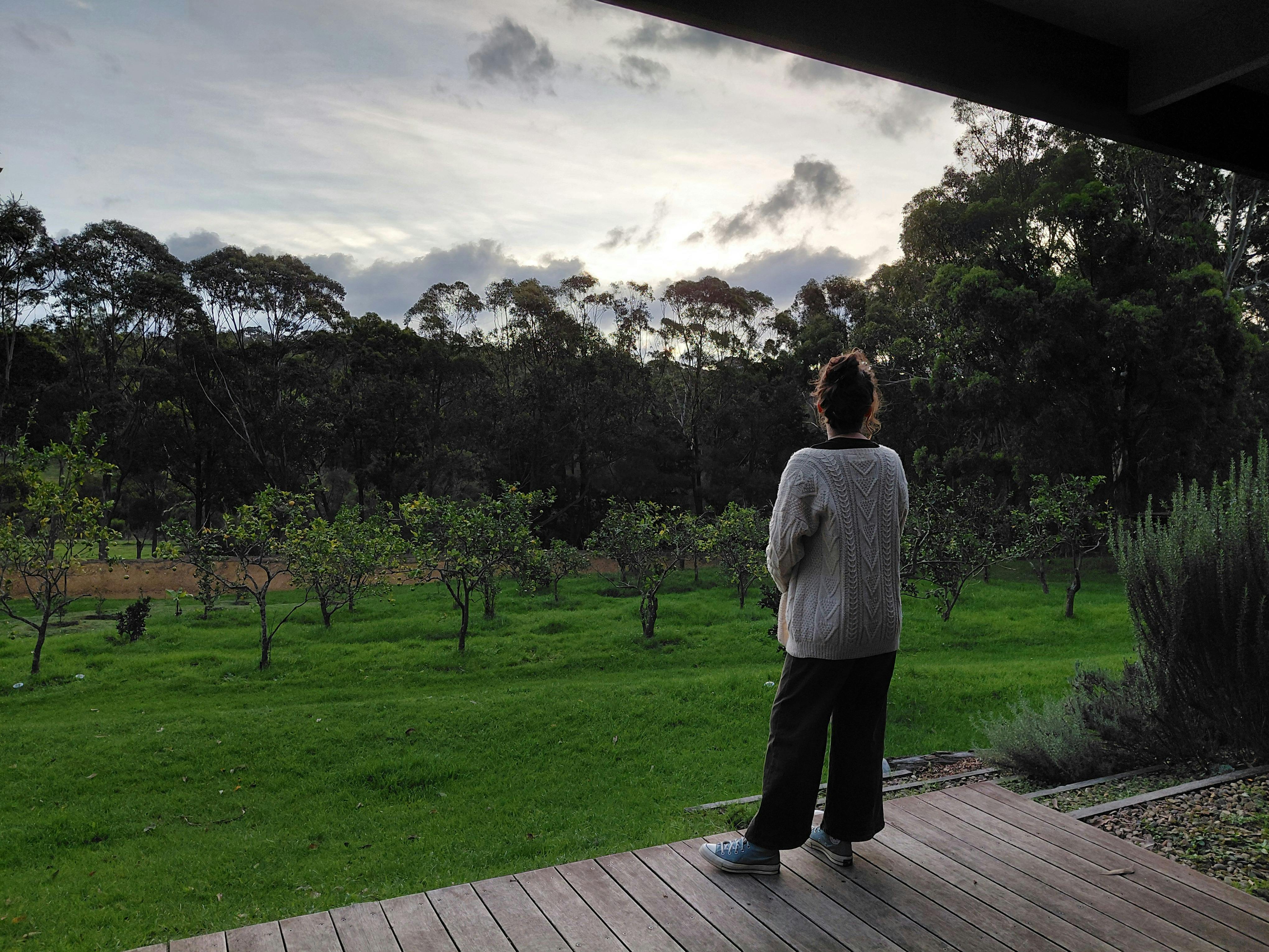 Views over the orchard from the back deck