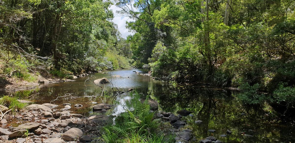 Coopers Creek at the bottom of the farm
