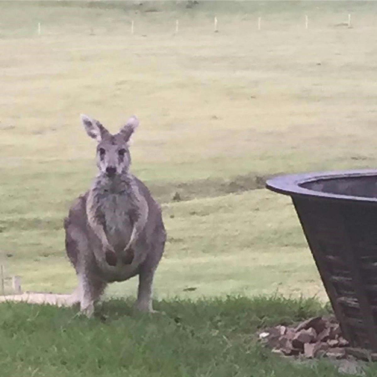 One of the locals