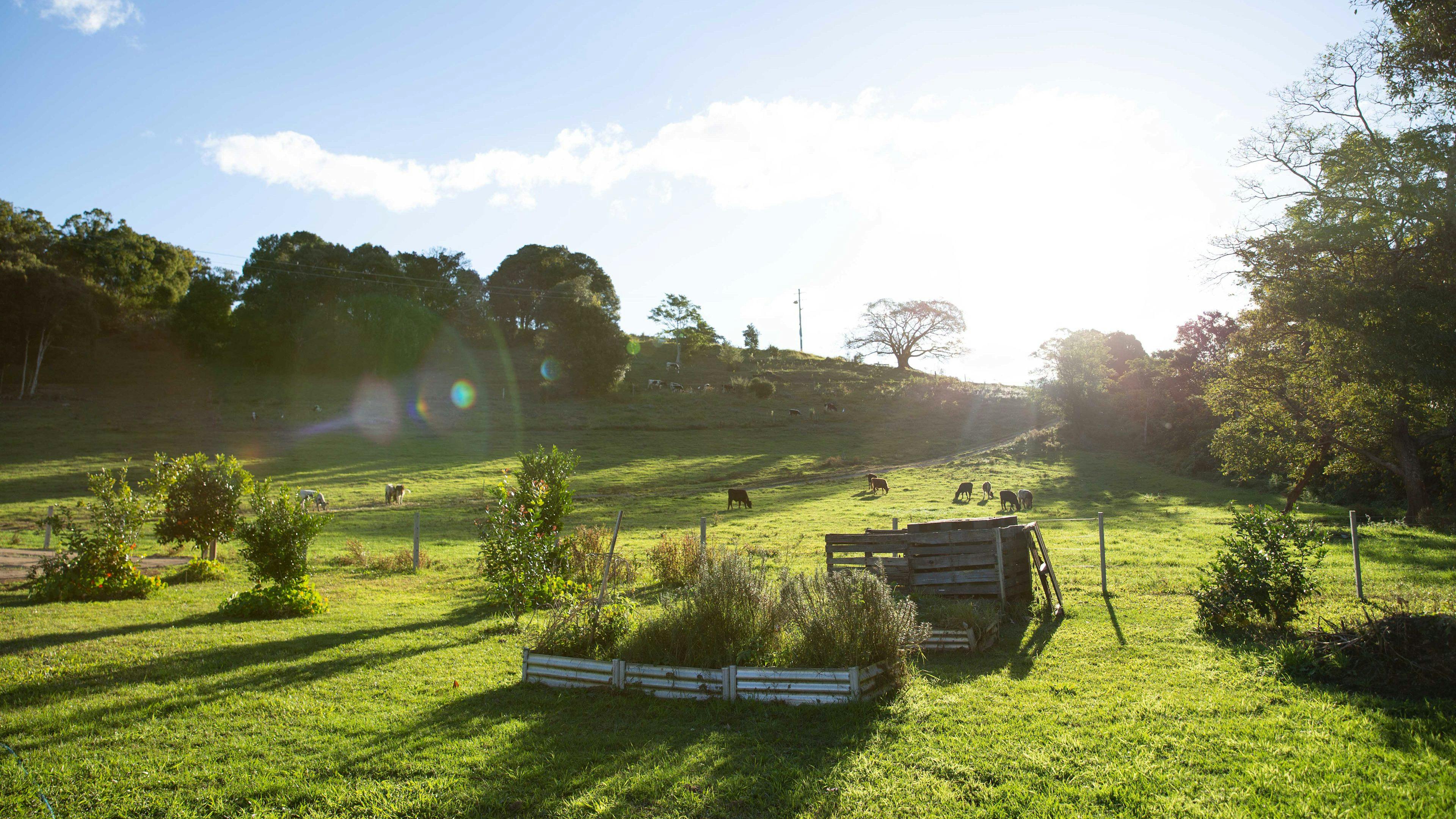 Tweed Valley Farmhouse Cheeses