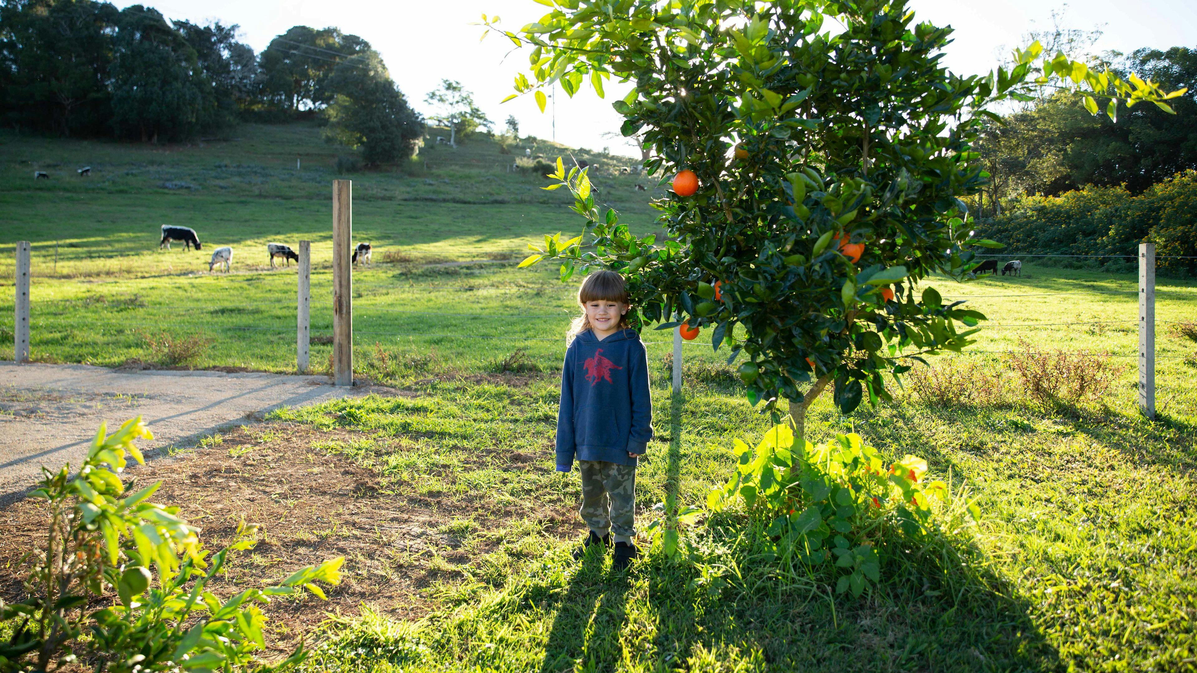 Tweed Valley Farmhouse Cheeses
