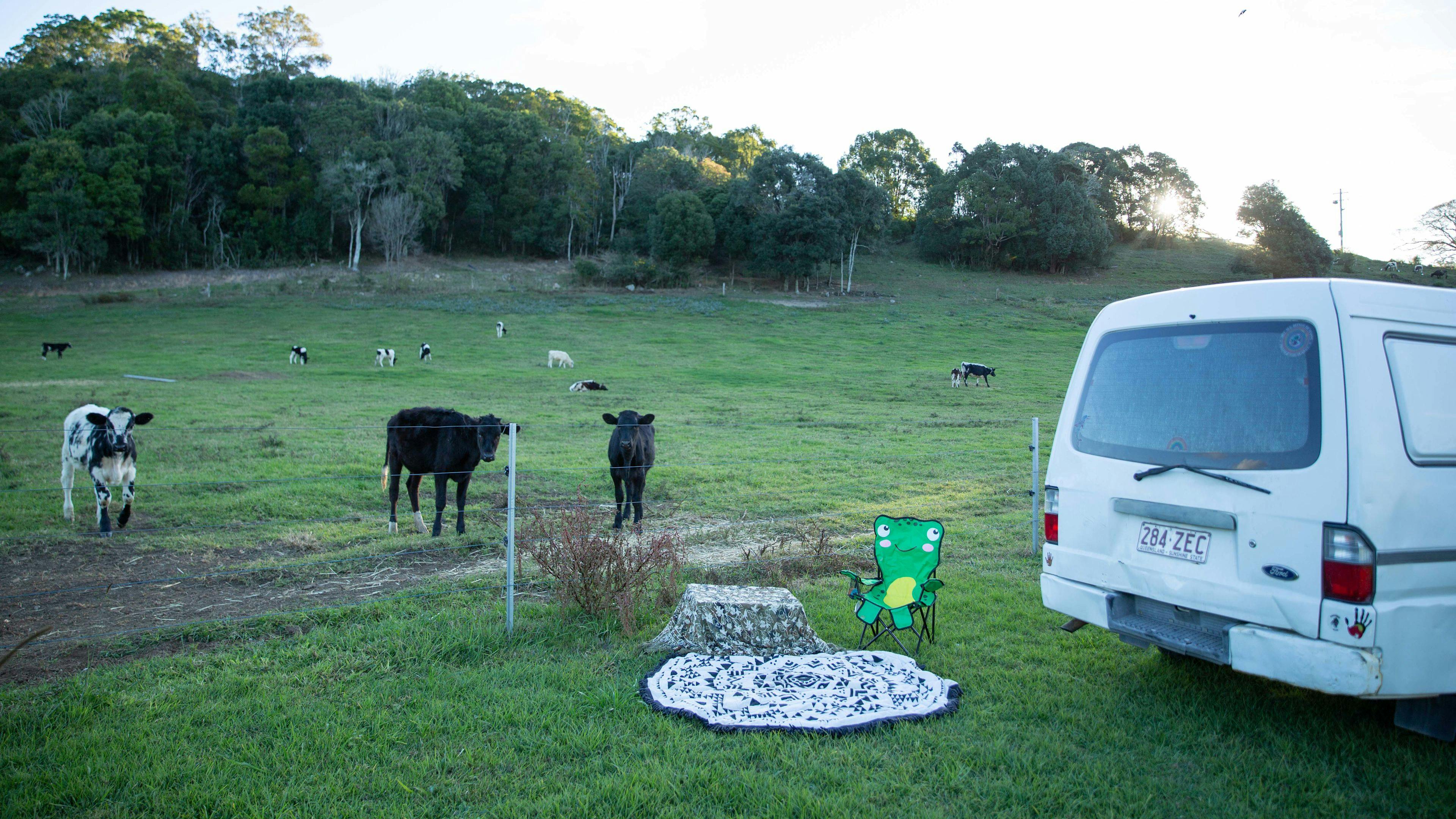Tweed Valley Farmhouse Cheeses