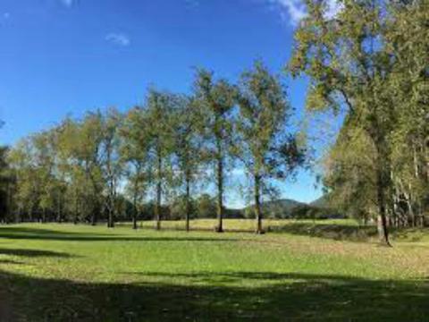 Williams River Holiday Park