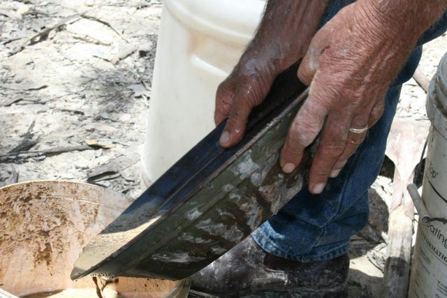 Goldfields at Ironbarks