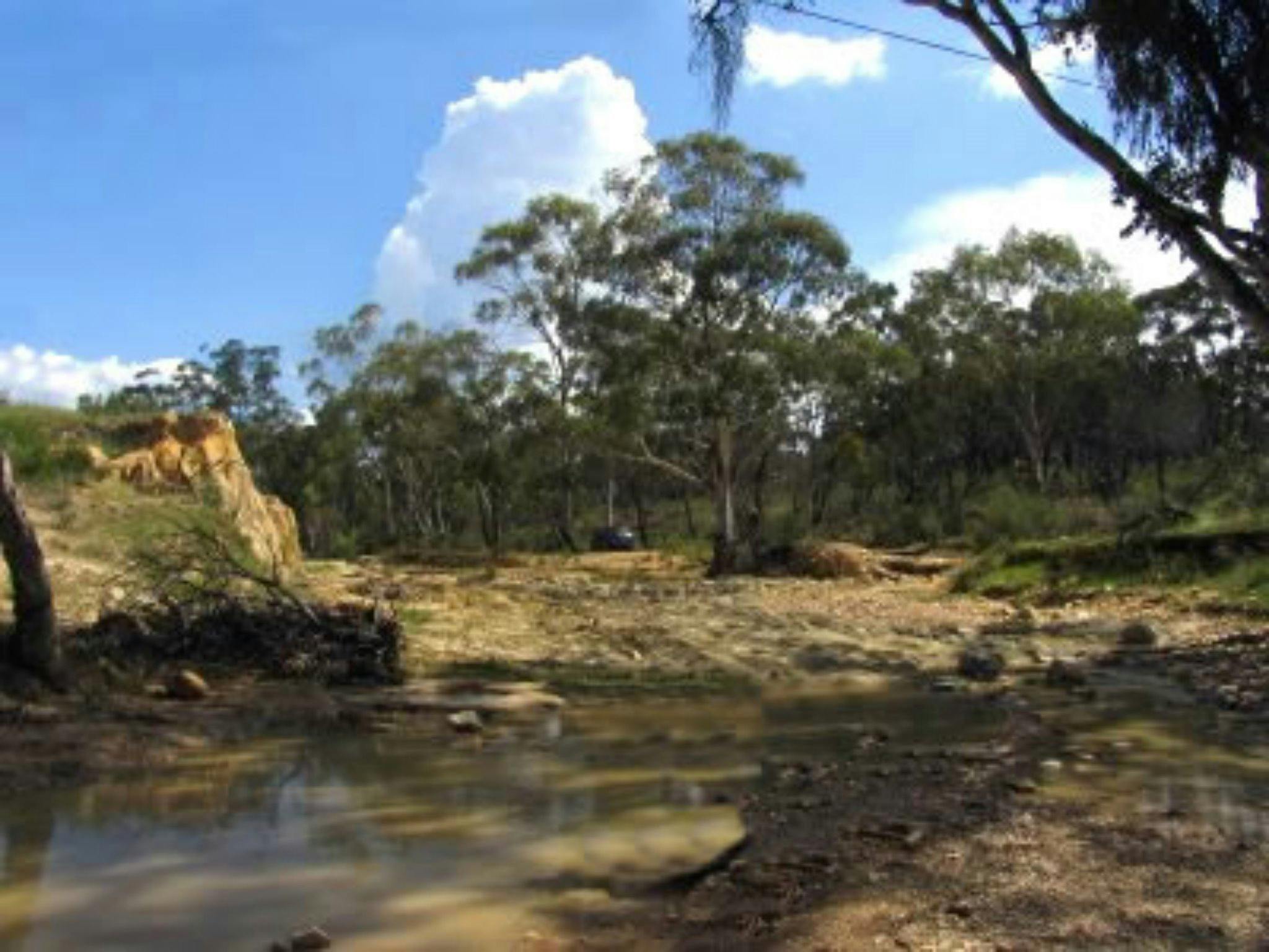 Fossiking at Stuart Town