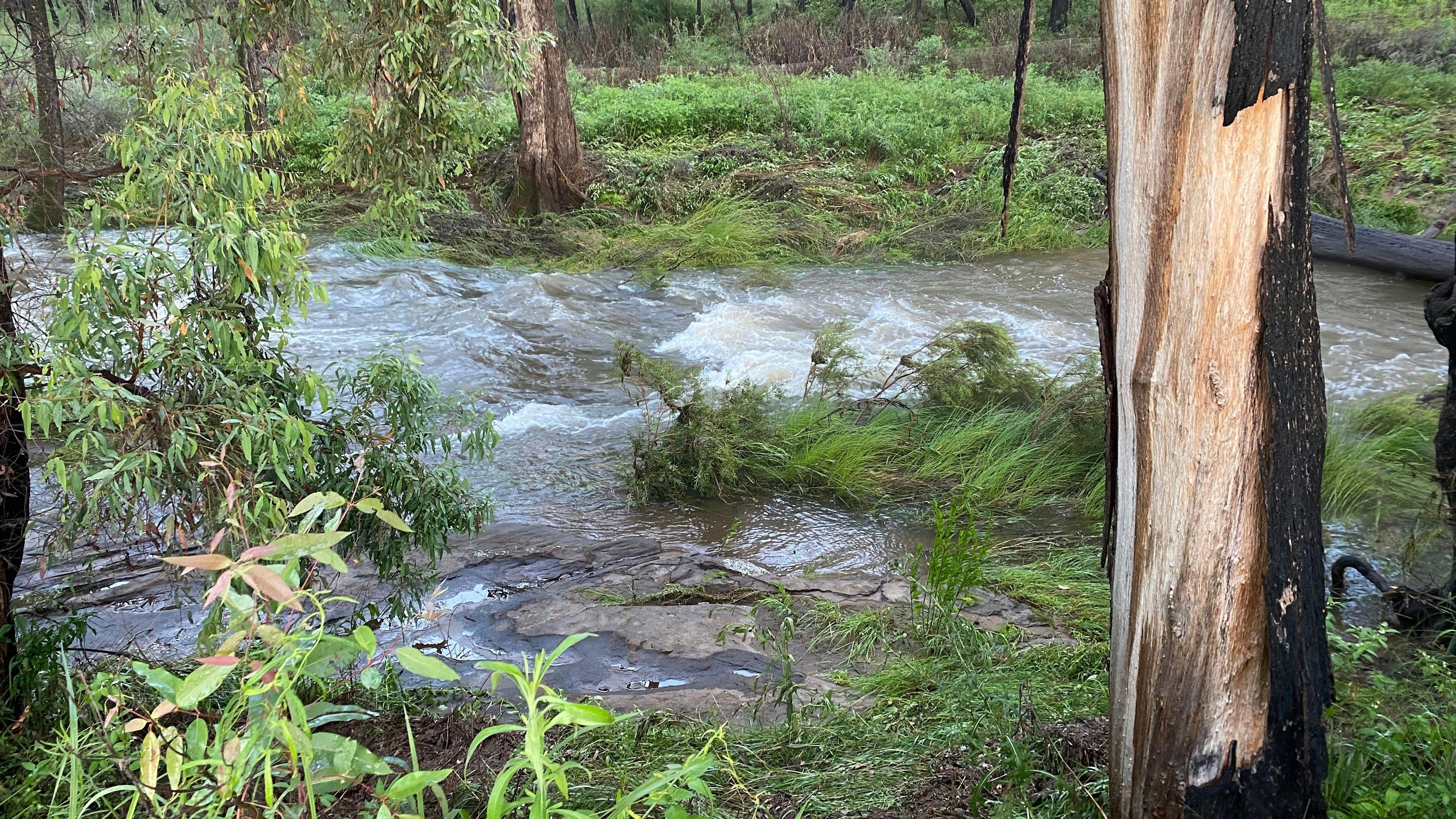 Warrumbungles Mtn Motel Campground