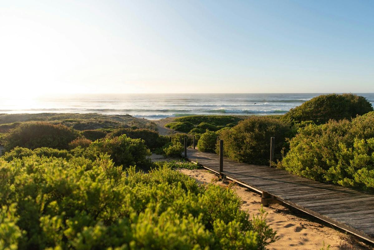 Your path to uncrowded beaches, rolling waves and salty sea air.