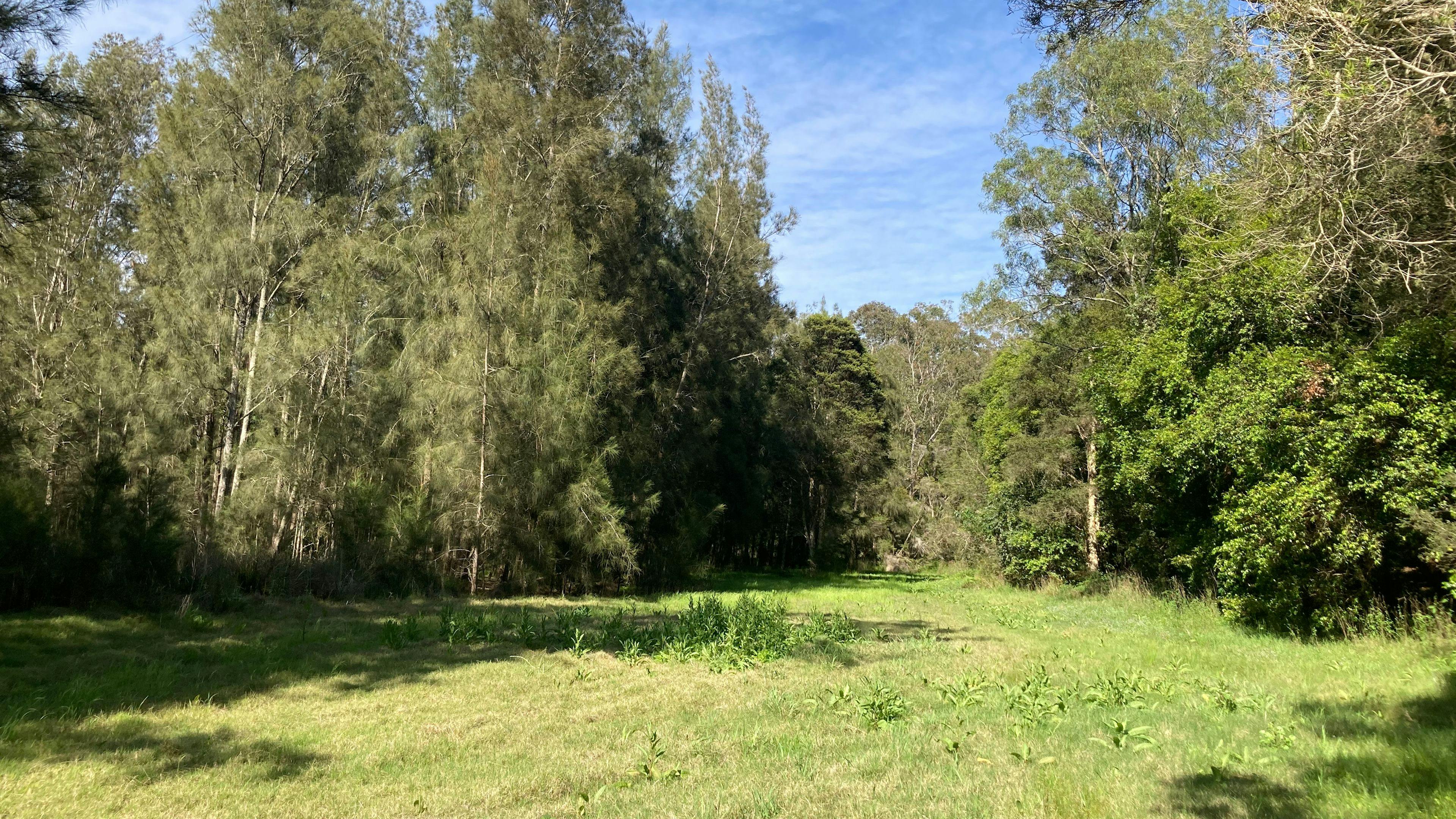 The beautiful Belongaia campsite.