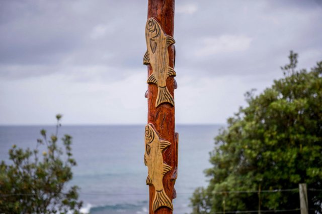 Aboriginal Carved Poles Callala and Crookhaven Heads