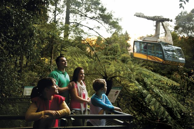 Furber Steps-Scenic Railway Walking Track