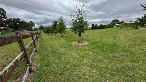 The Hang Out Campground