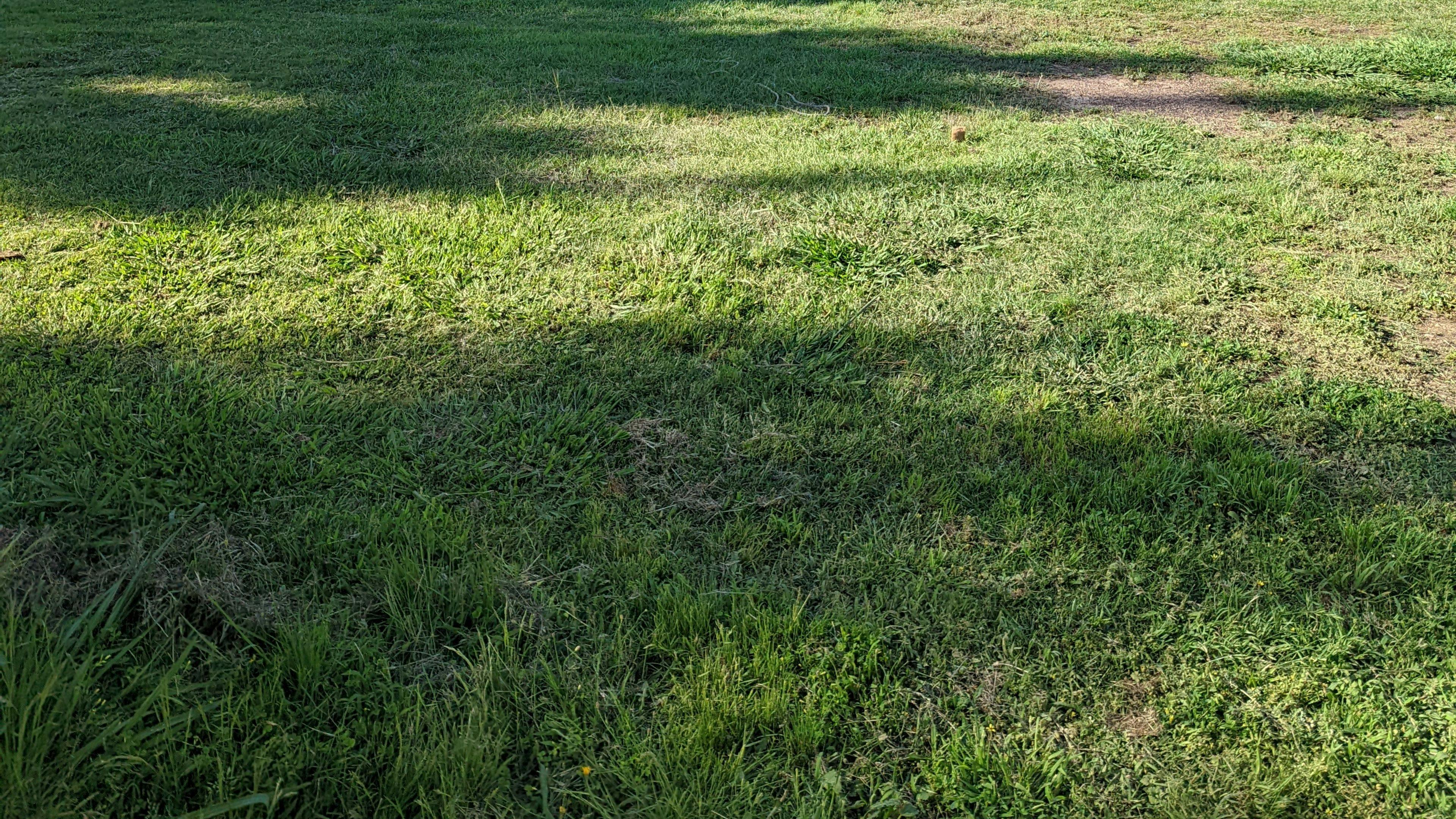 The Hobby Sheep Farm