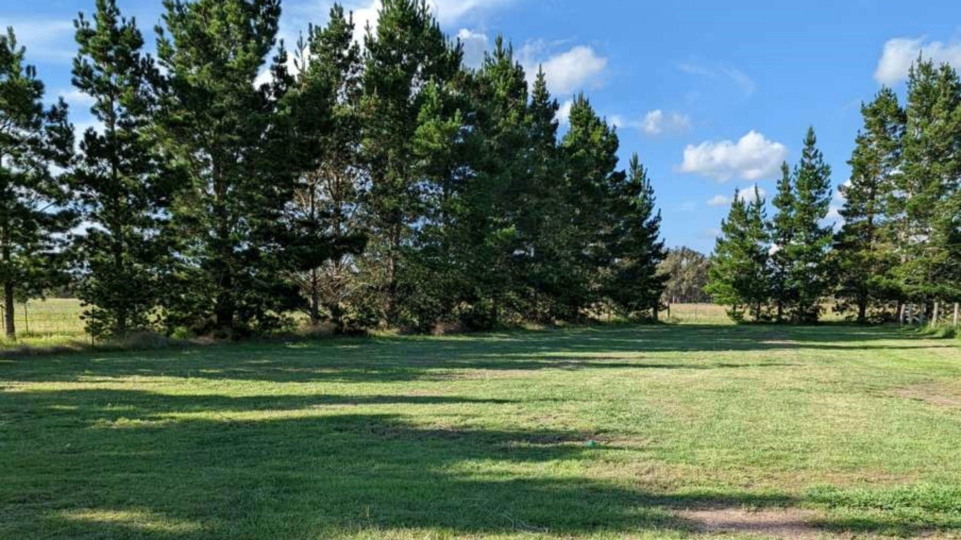 The Hobby Sheep Farm