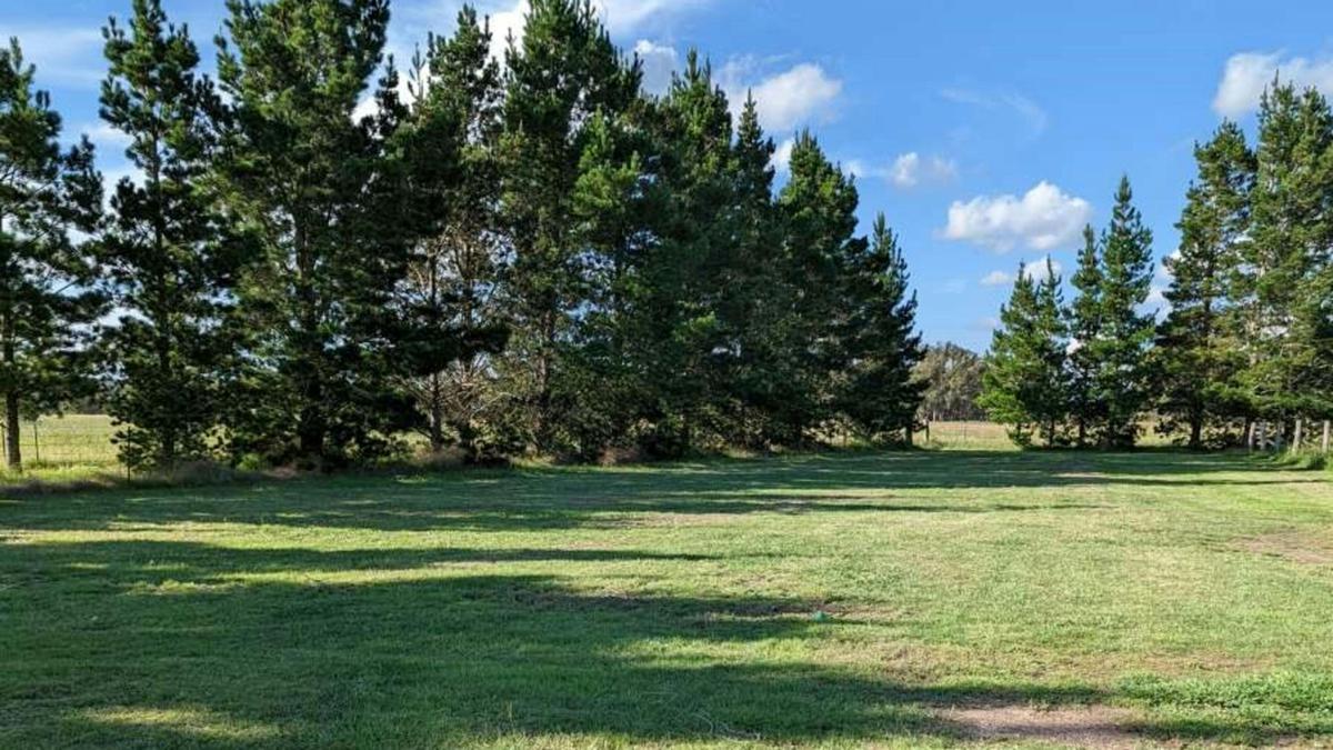 The Hobby Sheep Farm