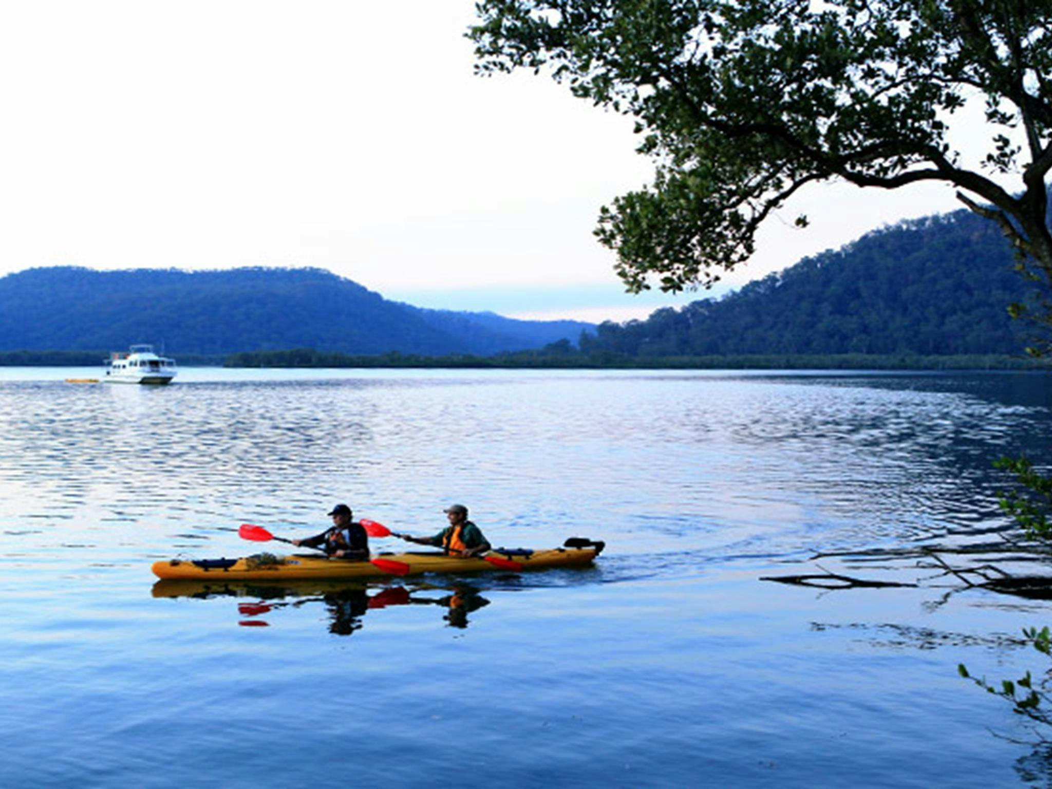 Hawkesbury River scene of 2 kayakers in a double kayak, with a river boat in the distance.  Photo: