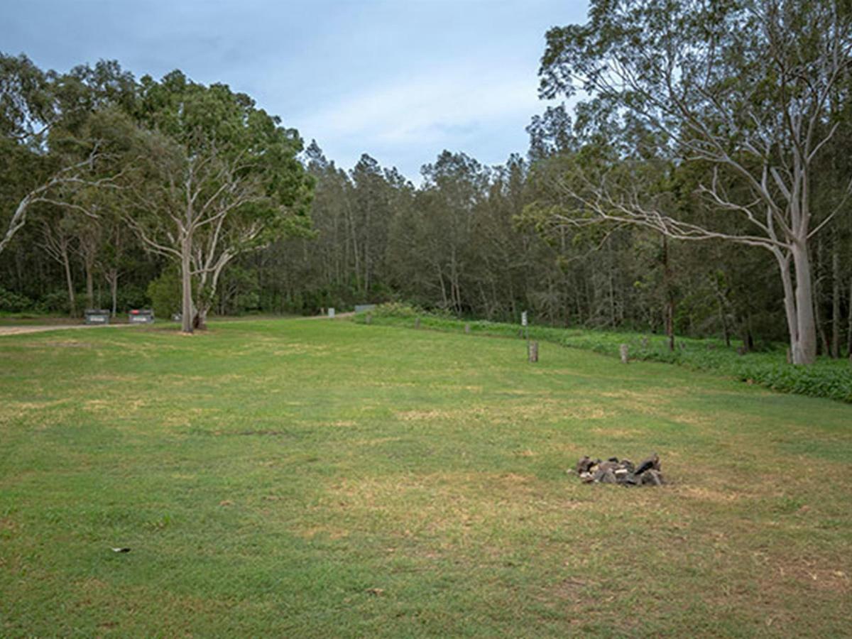 Grassy campsites set amongst trees at Violet Hill campground and picnic area in Myall Lakes National